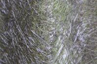 Llanelly Hill fibreglass roof work